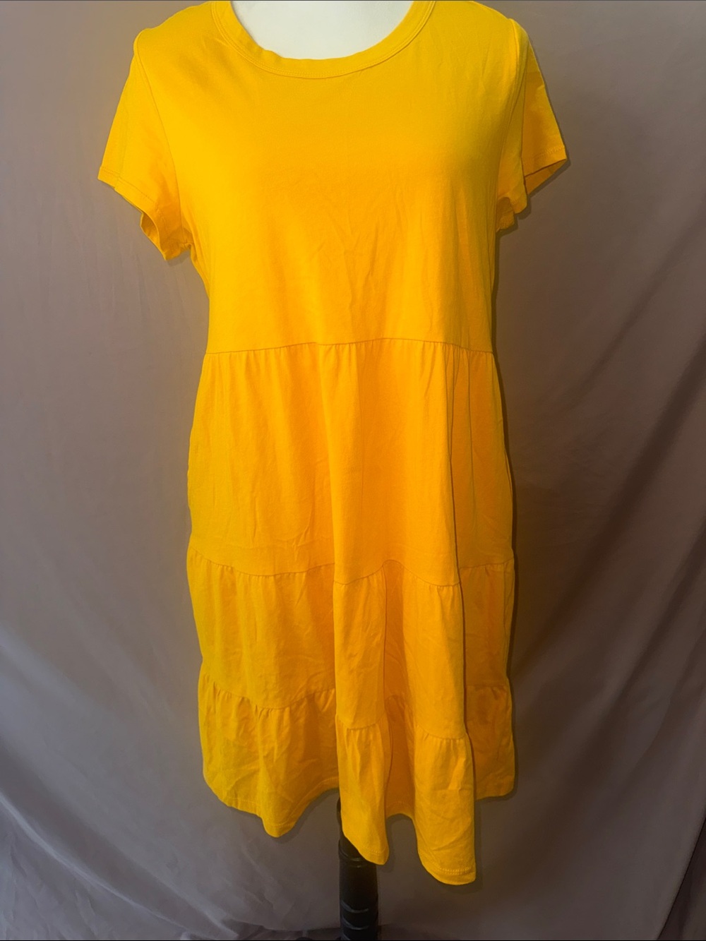NWOT Time and Tru Gold Short Sleeve Dress - Picture 4 of 7